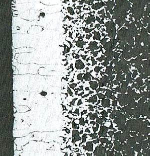 脱炭の顕微鏡写真例