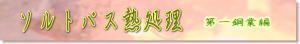 ソルト熱処理ロゴ