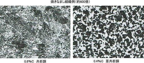 共析、亜共析の組織例