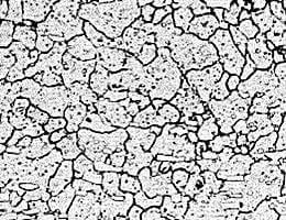 SLD（日立金属カタログから）③過熱組織：焼入れ温度が高すぎる組織