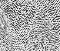 共析パーライト