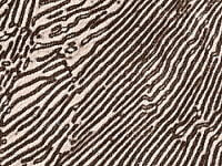 パーライト組織の例