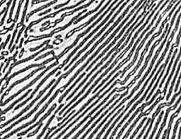 パーライト　拡大