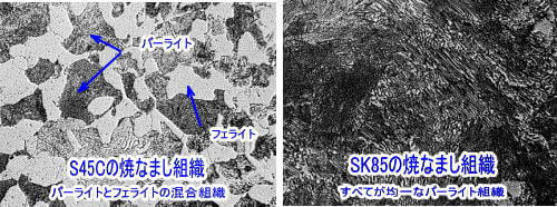 炭素量の違いと組織の例