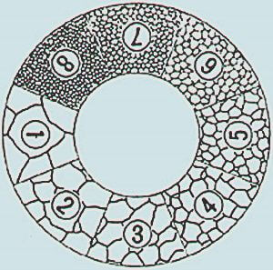 結晶粒度テンプレートの例