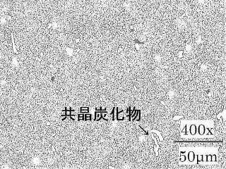 SKD11組織写真例