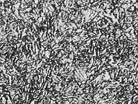 ソルバイトの組織例　　山本科学工具研究社