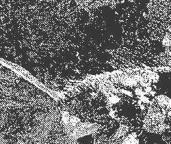 ウィドマンステッテン組織例